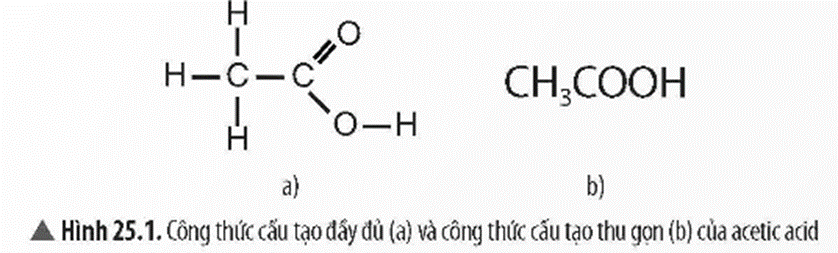 Lý thuyết KHTN 9 Chân trời sáng tạo Bài 25: Acetic acid