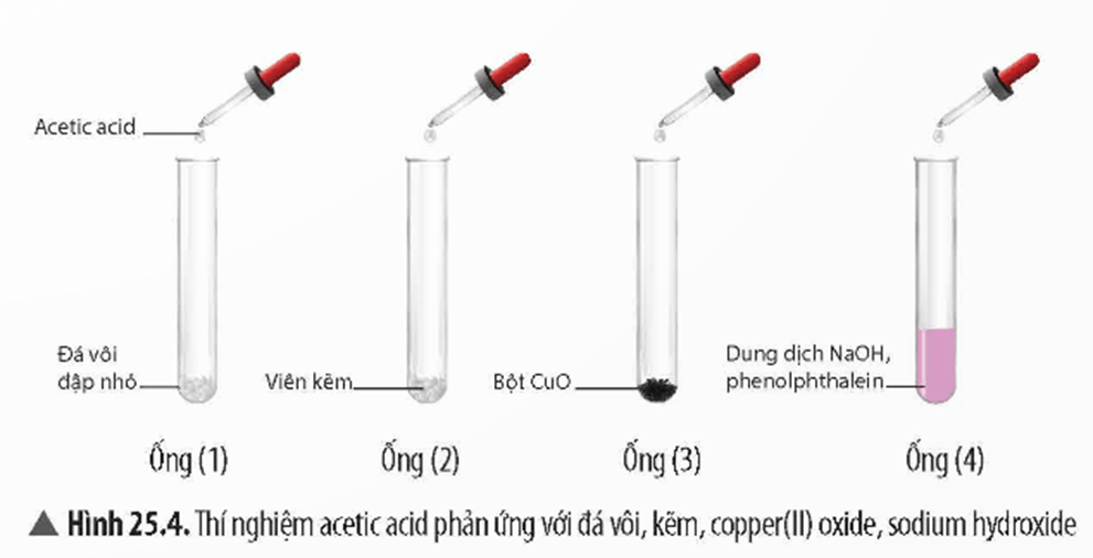 Lý thuyết KHTN 9 Chân trời sáng tạo Bài 25: Acetic acid