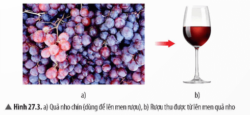 Lý thuyết KHTN 9 Chân trời sáng tạo Bài 27: Glucose và saccharose