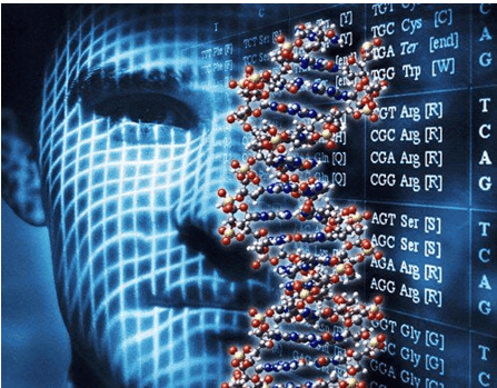 Lý thuyết KHTN 9 Chân trời sáng tạo Bài 37: Nucleic acid và ứng dụng (ảnh 6)