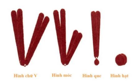 Lý thuyết KHTN 9 Chân trời sáng tạo Bài 41: Cấu trúc nhiễm sắc thể và đột biến nhiễm sắc thể (ảnh 6)