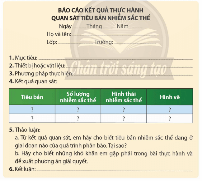 Lý thuyết KHTN 9 Chân trời sáng tạo Bài 42: Thực hành: Quan sát tiêu bản nhiễm sắc thể (ảnh 4)