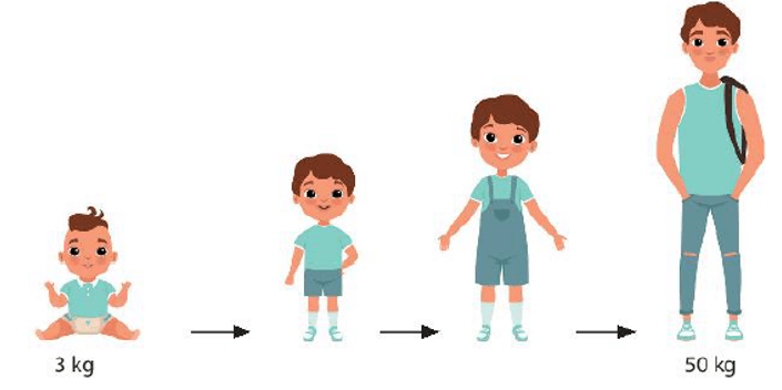 Lý thuyết KHTN 9 Chân trời sáng tạo Bài 43: Di truyền nhiễm sắc thể (ảnh 3)