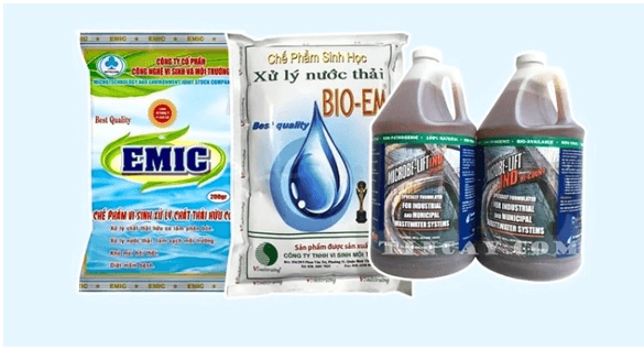 Lý thuyết KHTN 9 Chân trời sáng tạo Bài 45: Ứng dụng công nghệ di truyền vào đời sống (ảnh 10)