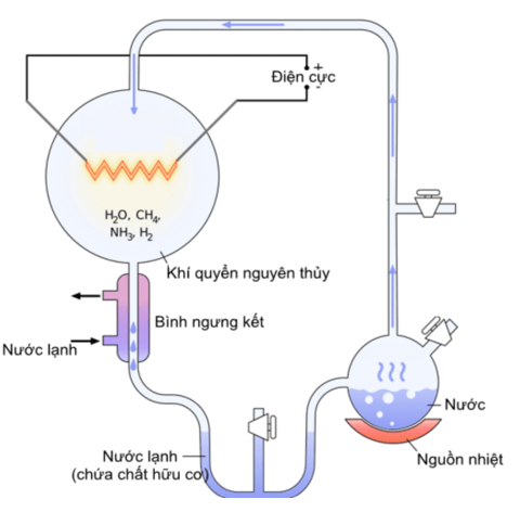 Lý thuyết KHTN 9 Chân trời sáng tạo Bài 48: Phát sinh và phát triển của sự sống trên Trái Đất (ảnh 1)
