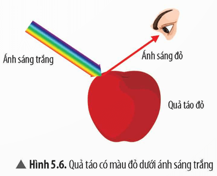 Lý thuyết KHTN 9 Chân trời sáng tạo Bài 5: Tán sắc ánh sáng qua lăng kính. Màu sắc của vật