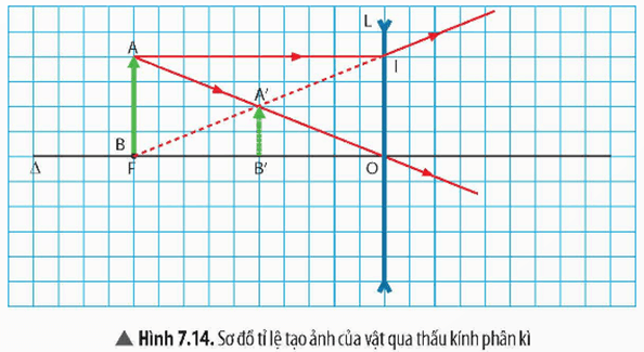 Lý thuyết KHTN 9 Chân trời sáng tạo Bài 7: Thấu kính. Kính lúp