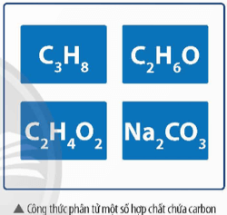 Hình bên là công thức phân tử của một số hợp chất chứa carbon, gồm hợp chất hữu cơ và hợp chất vô cơ
