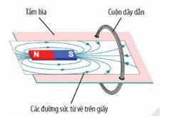 Trắc nghiệm KHTN 9 Chân trời sáng tạo Bài 12 (có đáp án): Cảm ứng điện từ | Khoa học tự nhiên 9