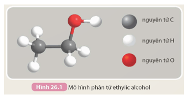 Dựa vào mô hình phân tử ethylic alcohol (Hình 26.1), hãy viết công thức phân tử