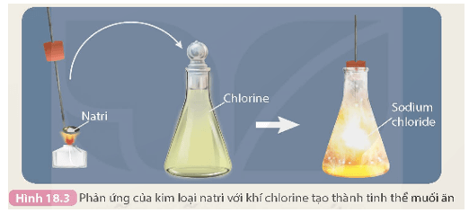 Nghiên cứu phản ứng của một số kim loại với chlorine