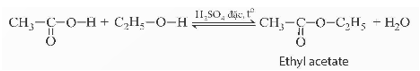 Lý thuyết KHTN 9 Kết nối tri thức Bài 27: Acetic acid