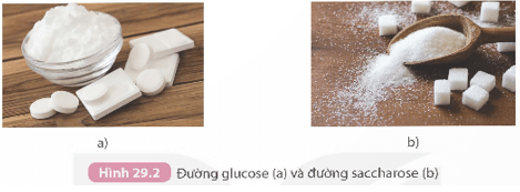 Lý thuyết KHTN 9 Kết nối tri thức Bài 29: Carbohydrate. Glucose và saccharose