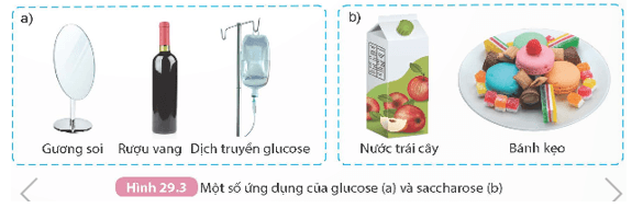 Lý thuyết KHTN 9 Kết nối tri thức Bài 29: Carbohydrate. Glucose và saccharose