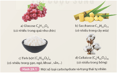 Lý thuyết KHTN 9 Kết nối tri thức Bài 29: Carbohydrate. Glucose và saccharose