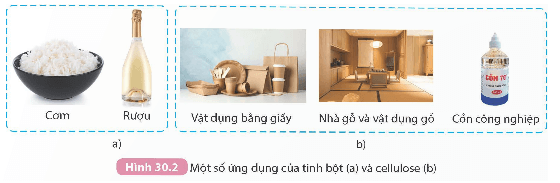 Lý thuyết KHTN 9 Kết nối tri thức Bài 30: Tinh bột và cellulose