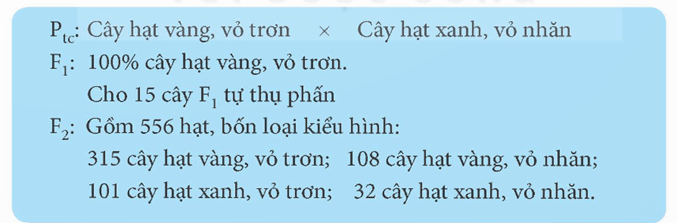 Lý thuyết KHTN 9 Kết nối tri thức Bài 37: Các quy luật di truyền của Mendel