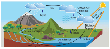 Trắc nghiệm KHTN 9 Kết nối tri thức Bài 16 (có đáp án): Vòng năng lượng trên Trái Đất. Năng lượng hoá thạch | Khoa học tự nhiên 9