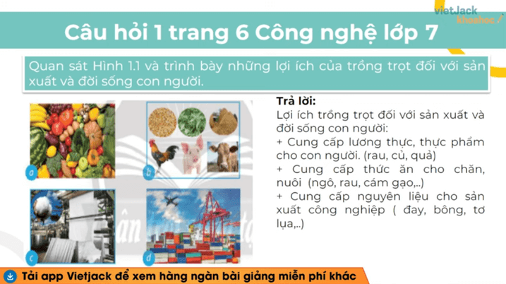 Học online Công nghệ 7 Chân trời sáng tạo (hiệu quả nhất)