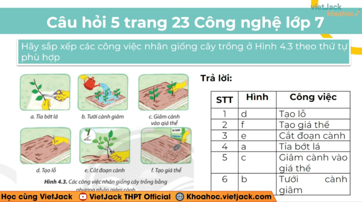 Học online Công nghệ 7 Chân trời sáng tạo (hiệu quả nhất)