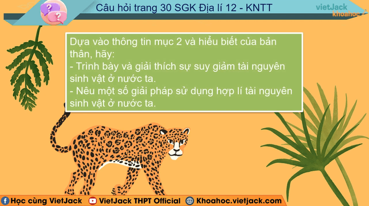 Học online Địa Lí 12 Kết nối tri thức (hiệu quả nhất)