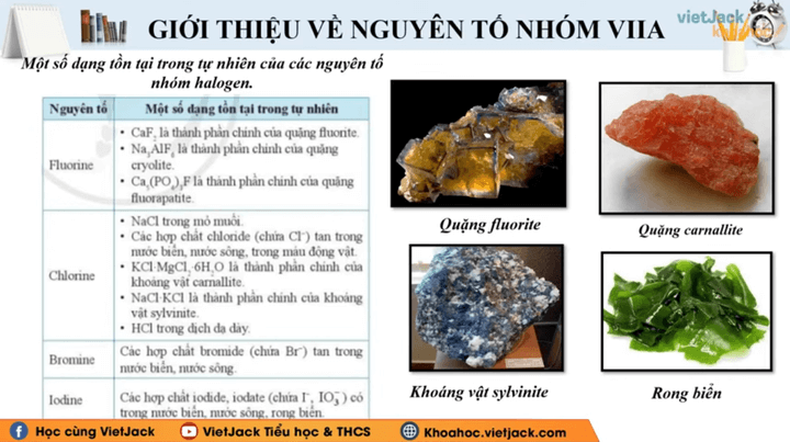 Học online Hóa học 10 Cánh diều (hiệu quả nhất)