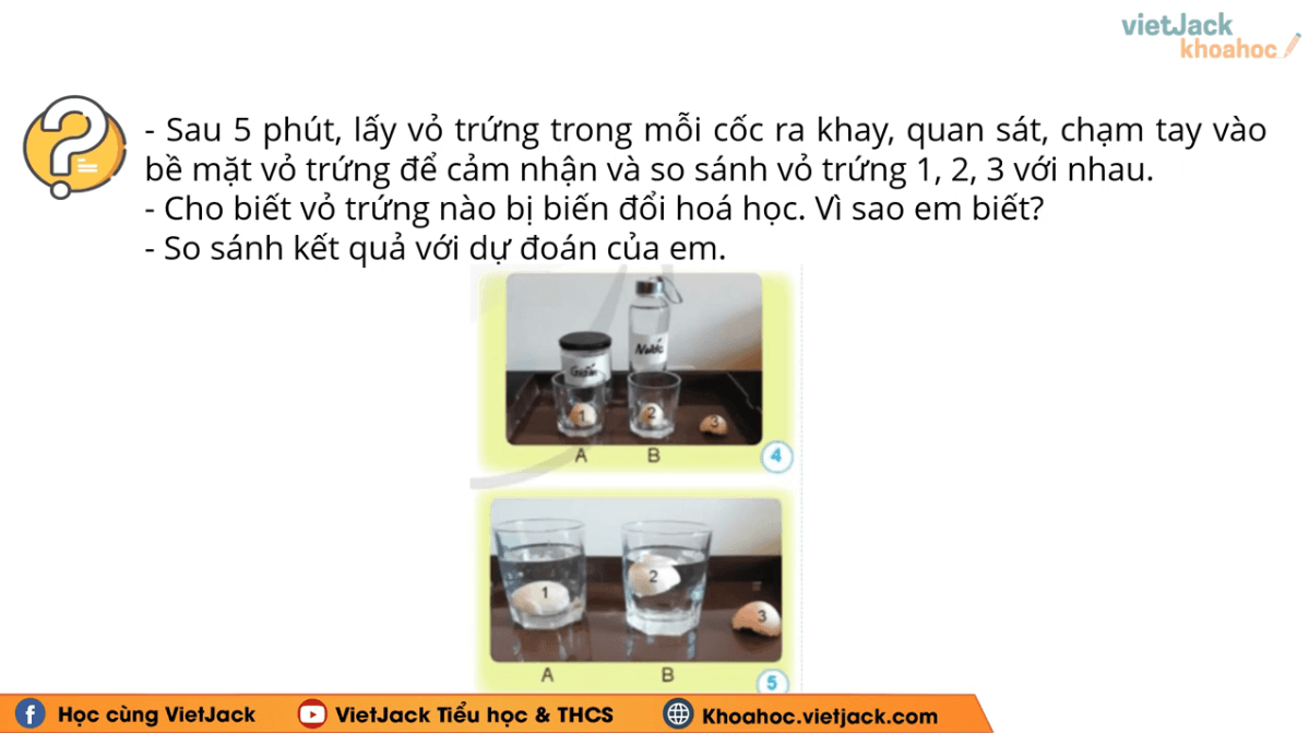 Học online Khoa học lớp 5 Cánh diều (hiệu quả nhất)