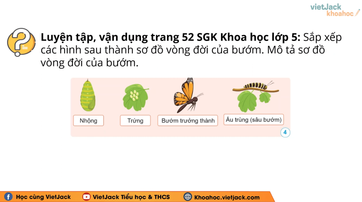 Học online Khoa học lớp 5 Cánh diều (hiệu quả nhất)