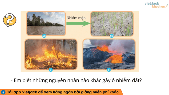 Học online Khoa học lớp 5 Chân trời sáng tạo (hiệu quả nhất)