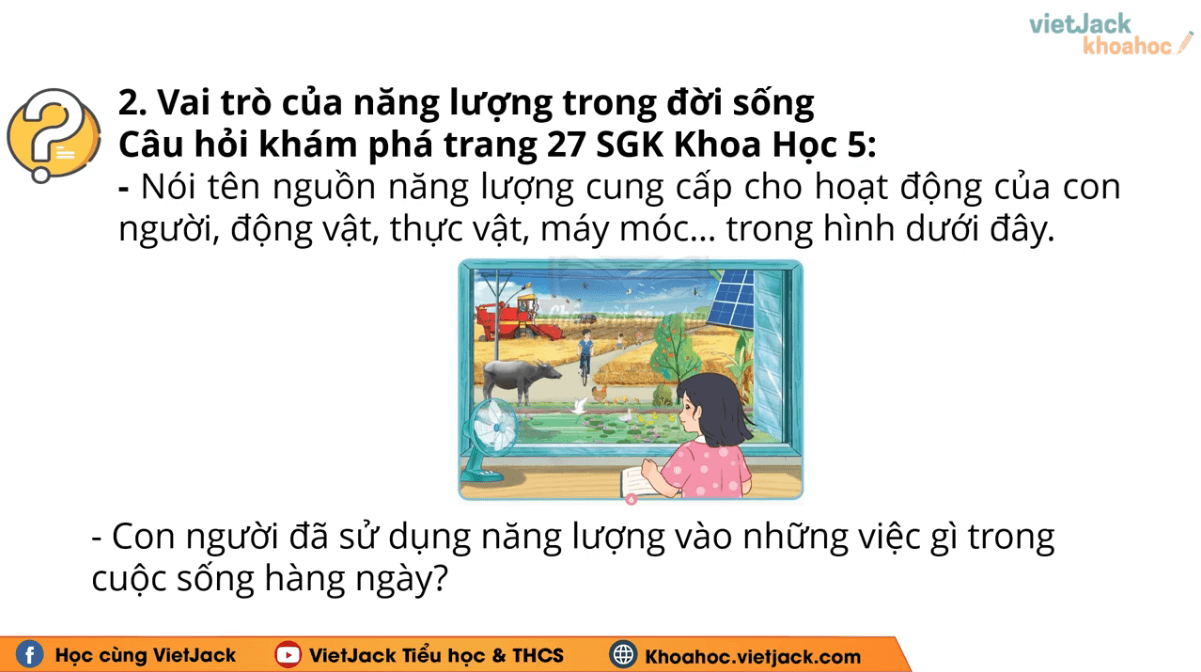 Học online Khoa học lớp 5 Chân trời sáng tạo (hiệu quả nhất)