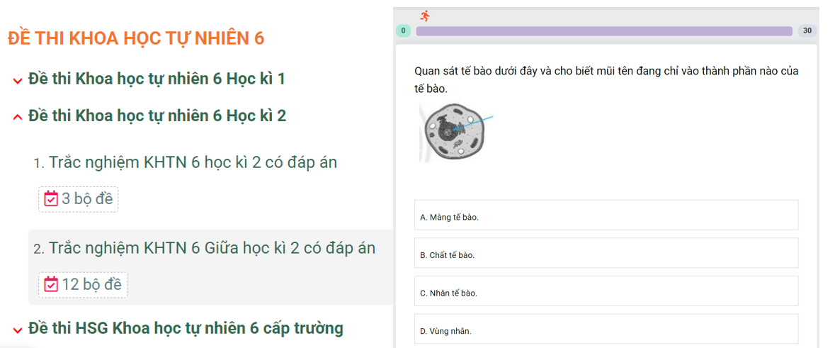 Học online Khoa học tự nhiên 6 Kết nối tri thức (hiệu quả nhất)