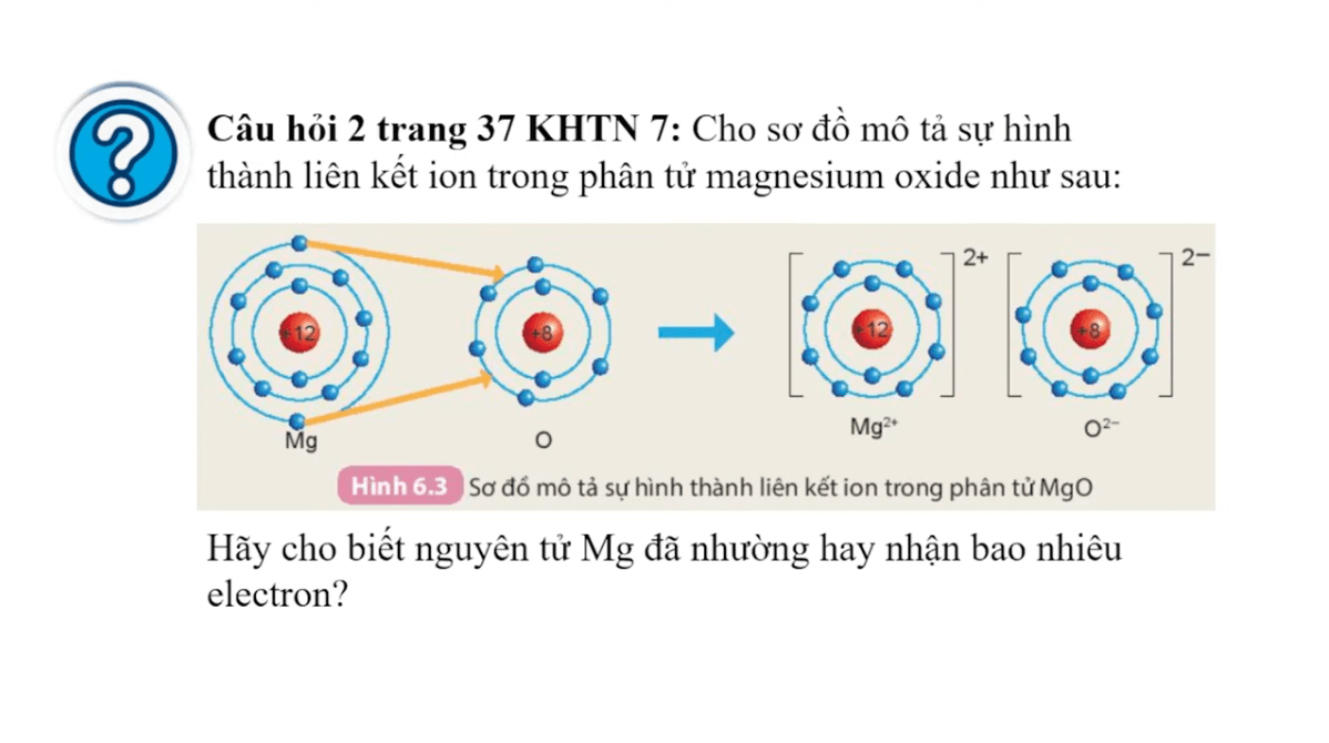 Học online Khoa học tự nhiên 7 Kết nối tri thức (hiệu quả nhất)