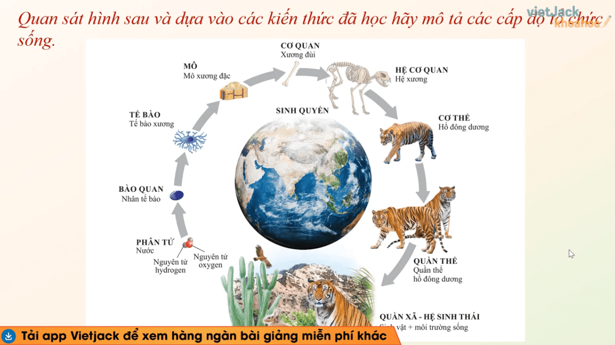 Học online Sinh học 10 Cánh diều (hiệu quả nhất)