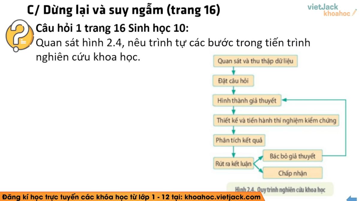 Học online Sinh học 10 Kết nối tri thức (hiệu quả nhất)