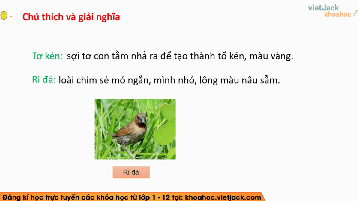 Học online Tiếng Việt lớp 2 Cánh diều (hiệu quả nhất)