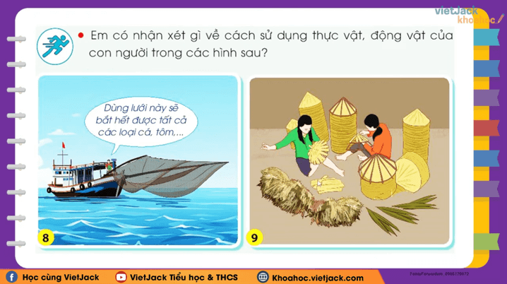 Học online Tự nhiên và Xã hội lớp 3 Chân trời sáng tạo (hiệu quả nhất)