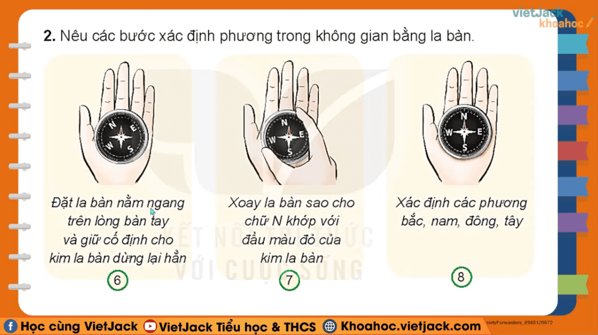 Học online Tự nhiên và Xã hội lớp 3 Kết nối tri thức (hiệu quả nhất)