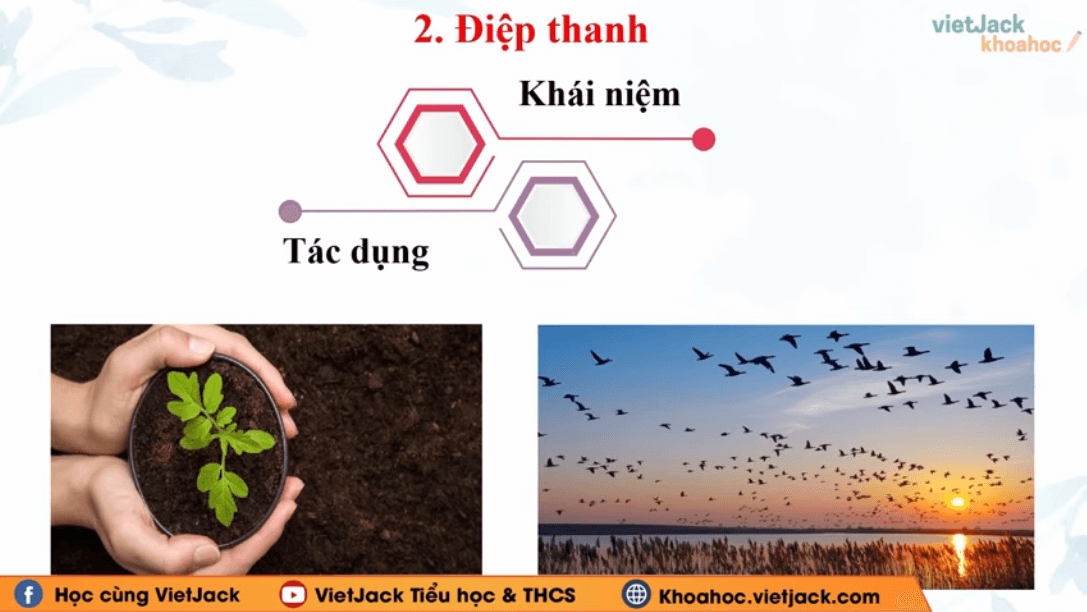 Học online Văn 9 Chân trời sáng tạo (hiệu quả nhất)
