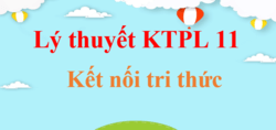 Lý thuyết KTPL 11 Kết nối tri thức (hay, ngắn gọn) | Kiến thức trọng tâm Kinh tế Pháp luật 11