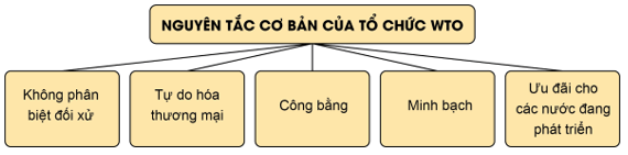 Lý thuyết KTPL 12 Cánh diều Bài 17: Các nguyên tắc cơ bản của Tổ chức Thương mại thế giới và hợp đồng thương mại quốc tế | Kinh tế Pháp luật 12