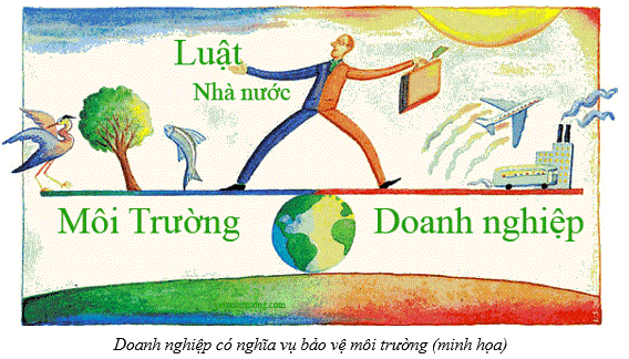 Lý thuyết KTPL 12 Cánh diều Bài 8: Quyền và nghĩa vụ của công dân về kinh doanh và nộp thuế | Kinh tế Pháp luật 12