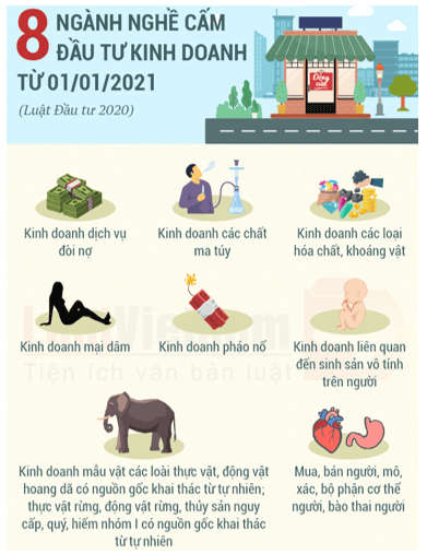 Lý thuyết KTPL 12 Cánh diều Bài 8: Quyền và nghĩa vụ của công dân về kinh doanh và nộp thuế | Kinh tế Pháp luật 12