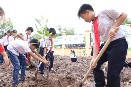 Lý thuyết KTPL 12 Chân trời sáng tạo Bài 13: Quyền và nghĩa vụ của công dân trong bảo vệ di sản văn hoá, môi trường và tài nguyên thiên nhiên | Kinh tế Pháp luật 12