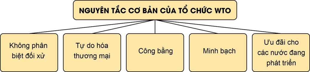 Lý thuyết KTPL 12 Chân trời sáng tạo Bài 16: Một số nguyên tắc cơ bản của Tổ chức Thương mại Thế giới và hợp đồng thương mại quốc tế | Kinh tế Pháp luật 12