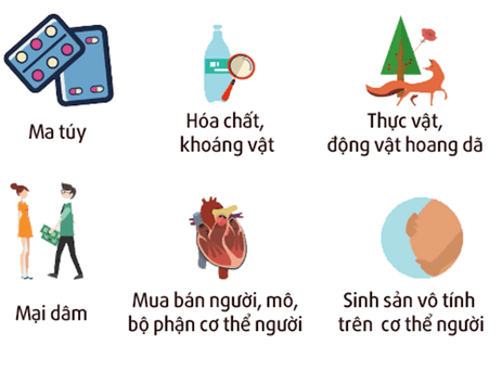 Lý thuyết KTPL 12 Chân trời sáng tạo Bài 8: Quyền và nghĩa vụ của công dân về kinh doanh và nộp thuế | Kinh tế Pháp luật 12