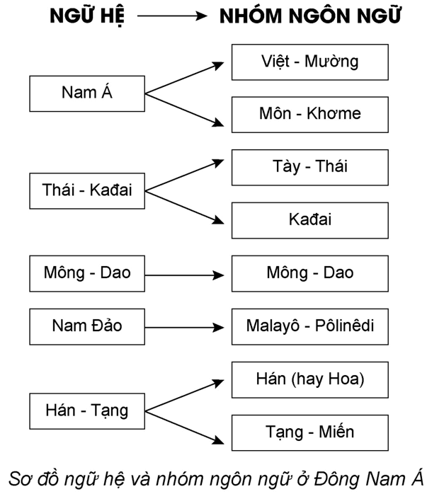Lập sơ đồ về các ngữ hệ và nhóm ngôn ngữ Việt Nam. Kể tên một số dân tộc thuộc từng nhóm ngôn ngữ đó