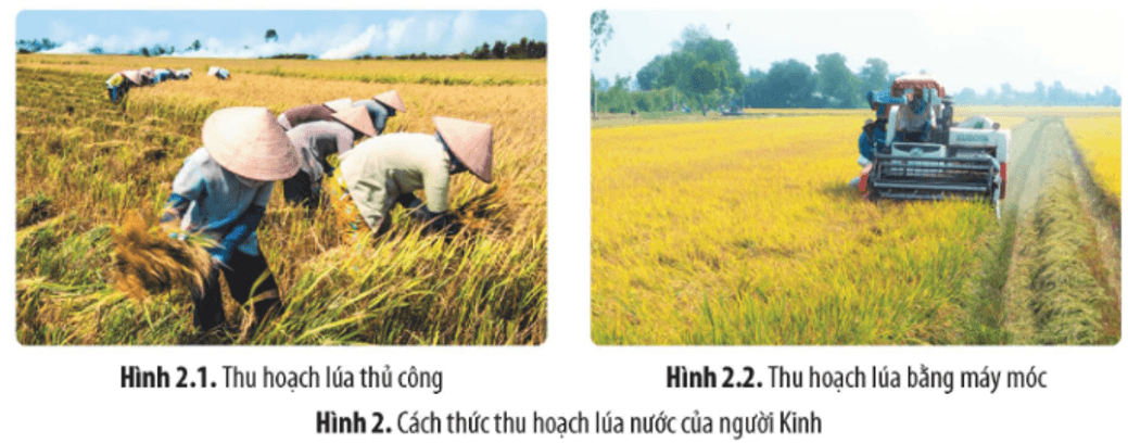 Lý thuyết Lịch Sử 10 Kết nối tri thức Bài 12: Khái quát về đời sống vật chất và tinh thần của cộng đồng các dân tộc Việt Nam