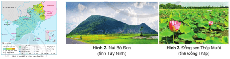 Lịch Sử và Địa Lí lớp 4 Cánh diều Bài 18: Thiên nhiên vùng Nam Bộ (ảnh 3)