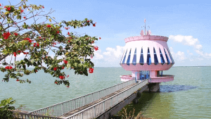 Trắc nghiệm Lịch Sử và Địa Lí lớp 4 Cánh diều Bài 19 (có đáp án): Dân cư, hoạt động sản xuất và một số nét văn hóa ở vùng Nam Bộ