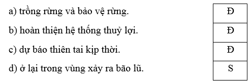 Trắc nghiệm Lịch Sử và Địa Lí lớp 4 Chân trời sáng tạo Bài 14 (có đáp án): Thiên nhiên vùng duyên hải miền Trung